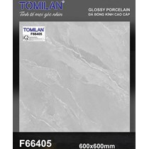 Gạch lát nền Tô Thành Phát 60x60 bóng F66405