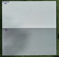 Đá ốp tường Vitaly 30x60 TK3602N-TK3602D