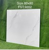 Gạch lát nền Tasa 80x80 bóng FST.9202