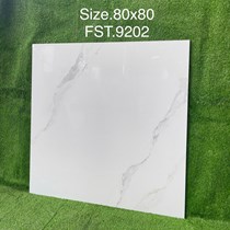 Gạch lát nền Tasa 80x80 bóng FST.9202