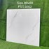 Gạch lát nền Tasa 80x80 bóng FST.9202