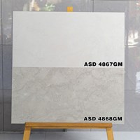 Gạch ốp tường Viglacera 40x80 mờ ASD 4867GM-4868GM