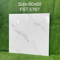 Gạch lát nền Tasa 60x60 bóng FST.5767