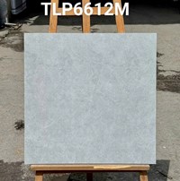 Gạch lát nền Granite Vitaly 60x60 mờ TLP6612M