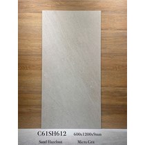 Gạch ốp lát Apodio 60x120 mờ C61SH612