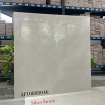 Gạch lát nền Apodio 80x80 AF10888046