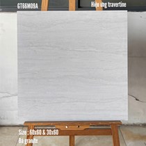 Gạch lát nền Ý Mỹ 60x60 mờ GT66M09A