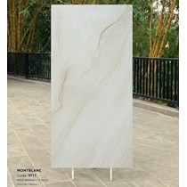 Gạch Tasa 90x180 bóng 9711