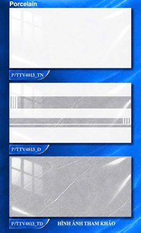 Gạch ốp tường Hà Thanh 40x80 bóng TTV4813