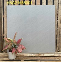 Gạch lát nền Việt Ý 80x80 mờ VNA2-M88001