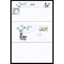 Gạch ốp tường giá rẻ 30x60 AV36010