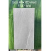 Gạch Tasa 60x120 mờ FST.1866