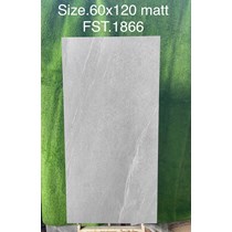 Gạch Tasa 60x120 mờ FST.1866