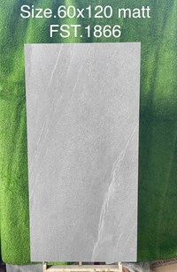 Gạch Tasa 60x120 mờ FST.1866