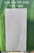 Gạch Tasa 60x120 mờ FST.1866