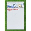 Gạch ốp tường giá rẻ 25x40 KTS216V