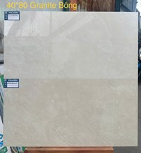 Gạch ốp tường Viglacera 40x80 bóng ASD 4863GP-4864GP