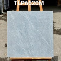 Gạch lát nền Granite Vitaly 60x60 mờ TLP6620M