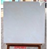 Gạch lát nền Ý Mỹ 60x60 bóng PP03001