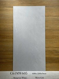 Gạch ốp lát Apodio 60x120 mờ C61MW605