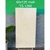 Gạch Tasa 60x120 mờ TS-1266