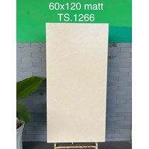 Gạch Tasa 60x120 mờ TS-1266