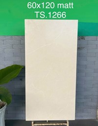 Gạch Tasa 60x120 mờ TS-1266