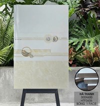 Gạch ốp tường Hà Thanh 30x60 bóng HTP3606