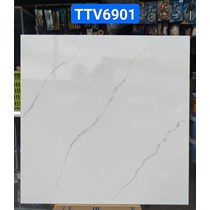Gạch lát nền giá rẻ 60x60 bóng TTV6901