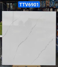 Gạch lát nền giá rẻ 60x60 bóng TTV6901