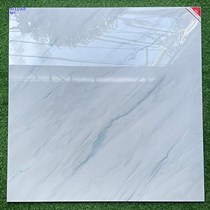 Gạch lát nền Prime 100x100 OV21009