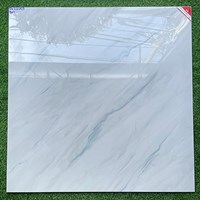 Gạch lát nền Prime 100x100 OV21009