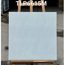 Gạch lát nền Granite Vitaly 60x60 mờ TLP6615M