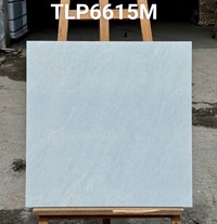Gạch lát nền Granite Vitaly 60x60 mờ TLP6615M