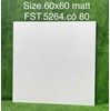 Gạch lát nền Tasa 60x60 mờ FST.5264