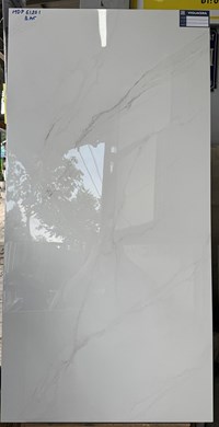 Gạch 60x120 Viglacera HDP61201