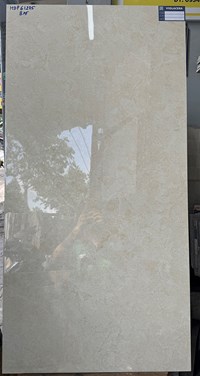 Gạch 60x120 Viglacera HDP61205