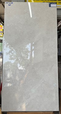 Gạch 60x120 Viglacera HDP61206