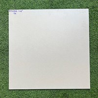 Gạch 60x60 mờ xi măng FP6802-TK