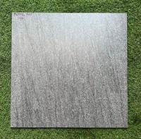 Gạch 60x60 mờ xi măng P6516TP