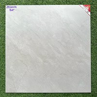Gạch 60x60 mờ xi măng Prime 29201M