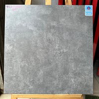 Gạch 60x60 Viglacera DK3-GM6603