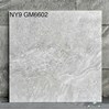 Gạch 60x60 Viglacera mờ NY9-GM6602