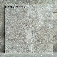 Gạch 60x60 Viglacera mờ NY9-GM6603