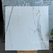 Gạch Ấn Độ 120x120 bóng 5104