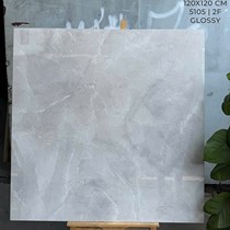 Gạch Ấn Độ 120x120 bóng 5105