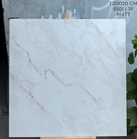 Gạch Ấn Độ 120x120 bóng 5501