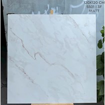 Gạch Ấn Độ 120x120 bóng 5501