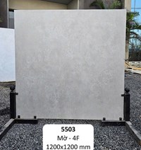 Gạch Ấn Độ 120x120 mờ 5503
