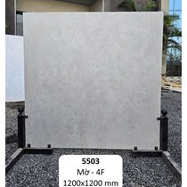 Gạch Ấn Độ 120x120 mờ 5503